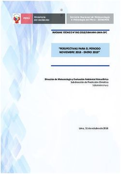 "PERSPECTIVAS PARA EL PERIODO NOVIEMBRE 2018 - ENERO 2019" - Senamhi