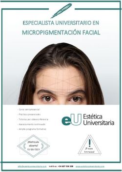 MICROPIGMENTACIÓN FACIAL - ESPECIALISTA UNIVERSITARIO EN - Estética Universitaria