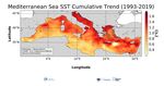 Informe TSM Mediterráneo - Primavera 2021 - CEAM