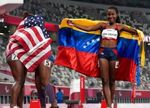 Un año de victorias por la paz y la estabilidad - MPPRE