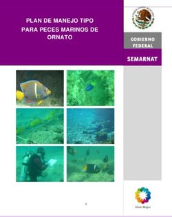 PLAN DE MANEJO TIPO PARA PECES MARINOS DE ORNATO