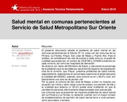 Salud mental en comunas pertenecientes al Servicio de Salud Metropolitano Sur Oriente