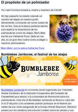 El prop&oacute;sito de un polinizador - Children's Museum of Richmond
