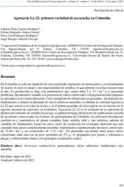 Agrosavia La 22: primera variedad de arracacha en Colombia