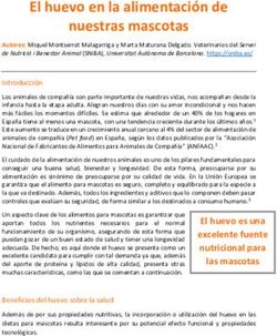 El huevo en la alimentaci&oacute;n de nuestras mascotas