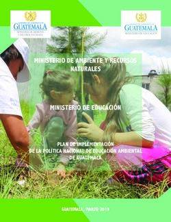 MINISTERIO DE AMBIENTE Y RECURSOS NATURALES MINISTERIO DE EDUCACIÓN - PLAN DE IMPLEMENTACIÓN DE LA POLÍTICA NACIONAL DE EDUCACIÓN AMBIENTAL DE ...