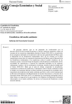 Consejo Econ&oacute;mico y Social - Naciones Unidas - UNSD