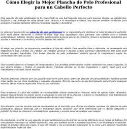 C&oacute;mo Elegir la Mejor Plancha de Pelo Profesional