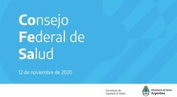 Consejo Federal de Salud - 12 de noviembre de 2020