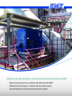 Motores de alta tensi&oacute;n y sistemas de accionamiento de EMZ - Series de productos de motores de alta tensi&oacute;n EMZ Motores de arranque y motores ...