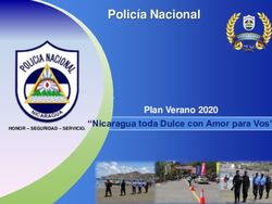 Polic&iacute;a Nacional Plan Verano 2020 - "Nicaragua toda Dulce con Amor para Vos" - Polic&iacute;a Nacional