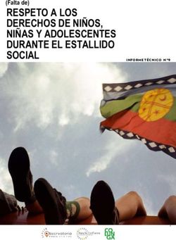 RESPETO A LOS DERECHOS DE NI&Ntilde;OS, NI&Ntilde;AS Y ADOLESCENTES DURANTE EL ESTALLIDO SOCIAL - (Falta de) - Fundaci&oacute;n para la Confianza