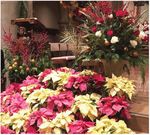 Nuestra Se&ntilde;ora de Guadalupe Our Lady of Guadalupe Service - Domingo, 12 de diciembre de 2021, 11:30 a.m. Sunday, December 12, 2021, 11:30 a.m.