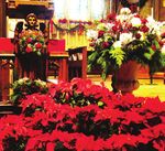 Nuestra Se&ntilde;ora de Guadalupe Our Lady of Guadalupe Service - Domingo, 12 de diciembre de 2021, 11:30 a.m. Sunday, December 12, 2021, 11:30 a.m.