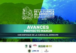 AVANCES PROYECTO MAR2R - CON ENFOQUE DE LA CUENCA AL ARRECIFE - SICA