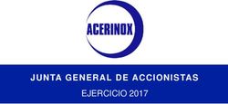 JUNTA GENERAL DE ACCI ONI STAS - EJERCICIO 2017 - Acerinox