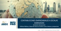 CONTRIBUCIONES EMPRESARIALES A ESCALAS AGREGADAS - Cali - CIAT| Septiembre 05 de 2018