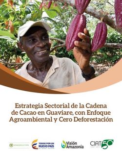 Estrategia Sectorial de la Cadena de Cacao en Guaviare, con Enfoque Agroambiental y Cero Deforestación - CGSpace