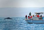 PERFIL DEL TURISTA Turismo en Cifras - PromPer&uacute;