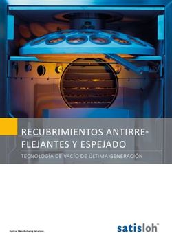 RECUBRIMIENTOS ANTIRRE-FLEJANTES Y ESPEJADO - TECNOLOG&Iacute;A DE VAC&Iacute;O DE &Uacute;LTIMA GENERACI&Oacute;N - Satisloh