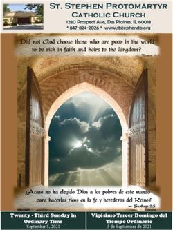 St. Stephen Protomartyr Catholic Church - Twenty - Third Sunday in