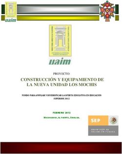 CONSTRUCCIÓN Y EQUIPAMIENTO DE LA NUEVA UNIDAD LOS MOCHIS - PROYECTO