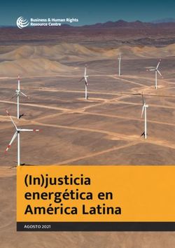 (In)justicia energética en América Latina - AGOSTO 2021 - Business & Human ...
