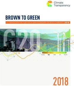 2018 BROWN TO GREEN - Climate Transparency