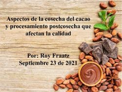 Aspectos de la cosecha del cacao y procesamiento postcosecha que afectan la calidad Por: Roy Fraatz Septiembre 23 de 2021