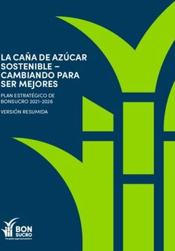 LA CA&Ntilde;A DE AZ&Uacute;CAR SOSTENIBLE - CAMBIANDO PARA SER MEJORES - PLAN ESTRAT&Eacute;GICO DE BONSUCRO 2021-2026 VERSI&Oacute;N RESUMIDA
