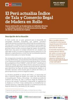 El Per&uacute; actualiza &Iacute;ndice de Tala y Comercio Ilegal de Madera en Rollo