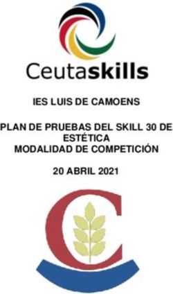 IES LUIS DE CAMOENS PLAN DE PRUEBAS DEL SKILL 30 DE ESTÉTICA MODALIDAD DE COMPETICIÓN 20 ABRIL 2021 2020