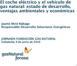 El coche eléctrico y el vehículo de gas natural: estado de desarrollo, ventajas ambientales y económicas - JORNADA FUNDACIÓN GAS NATURAL