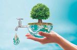 Día mundial del agua - Concientizar sobre el valor del vital elemento
