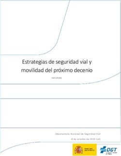 Estrategias de seguridad vial y movilidad del próximo decenio - DGT
