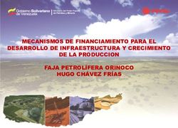 MECANISMOS DE FINANCIAMIENTO PARA EL DESARROLLO DE INFRAESTRUCTURA Y CRECIMIENTO DE LA PRODUCCION FAJA PETROL&Iacute;FERA ORINOCO HUGO CH&Aacute;VEZ FR&Iacute;AS - Olade