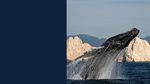 OBSERVATORIO TUR&Iacute;STICO DE LOS CABOS - INDICADORES CLAVE DE DESEMPE&Ntilde;O JUNIO 2021 - FITURCA