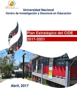 Plan Estratégico del CIDE 2017-2021 - Abril, 2017 - Universidad Nacional