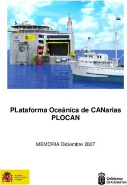 PLOCAN PLataforma Oce&aacute;nica de CANarias - MEMORIA Diciembre 2007