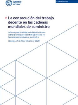X La consecuci&oacute;n del trabajo decente en las cadenas mundiales de suministro - Informe para el debate en la Reuni&oacute;n t&eacute;cnica sobre la consecuci&oacute;n ...
