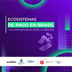 DE PAGO EN BRASIL ECOSISTEMAS