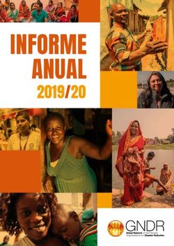 INFORME ANUAL 2019/20 - GNDR