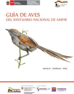 GUÍA DE AVES DEL SANTUARIO NACIONAL DE AMPAY - ABANCAY - APURÍMAC - PERÚ - Bosques Andinos