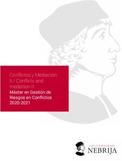 Conflictos y Mediaci&oacute;n II / Conflicts and mediation II M&aacute;ster en Gesti&oacute;n de Riesgos en Conflictos 2020-2021