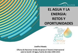 EL AGUA Y LA ENERGIA: RETOS Y OPORTUNIDADES - Josefina Maestu Oficina de Naciones Unidas de apoyo al Decenio Internacional para la Acci&oacute;n "El ...