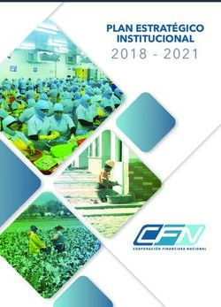 2018 2021 INSTITUCIONAL - PLAN ESTRAT&Eacute;GICO - CFN