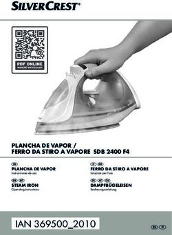 IAN 369500_2010 PLANCHA DE VAPOR / FERRO DA STIRO A VAPORE SDB 2400 F4 - PLANCHA DE VAPOR