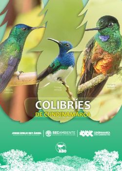 COLIBR&Iacute;ES DE CUNDINAMARCA - Asociaci&oacute;n Bogotana de Ornitolog&iacute;a