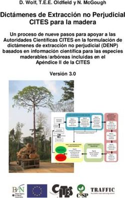 Dictámenes de Extracción no Perjudicial CITES para la madera
