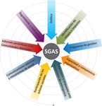 Sistema de gesti&oacute;n ambiental y social - Manual de implementaci&oacute;n GENERAL - International Finance ...